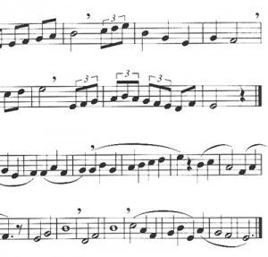 W399900023-extra-solf2