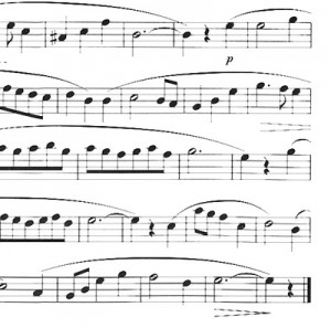 W399900032-extra-solf3