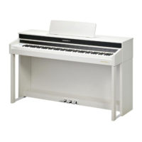 kurzweil-CUP-320WH--